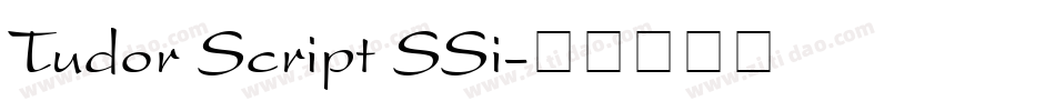 Tudor Script SSi字体转换